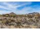 Scenic view of desert property featuring native plants and mountain views at 8395 E Leaning Rock Rd # 187, Scottsdale, AZ 85266