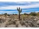 Arizona desert landscape featuring a mature saguaro cactus and clear blue sky at 8395 E Leaning Rock Rd # 187, Scottsdale, AZ 85266