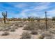 Desert landscape featuring native cacti and shrubs against a vibrant blue sky on a sunny day at 8395 E Leaning Rock Rd # 187, Scottsdale, AZ 85266