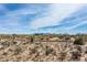 Stunning landscape showcasing lush desert foliage under a clear blue sky, perfect for nature enthusiasts at 8395 E Leaning Rock Rd # 187, Scottsdale, AZ 85266