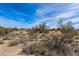 Expansive desert property with diverse native plants, offering a tranquil and natural environment at 8395 E Leaning Rock Rd # 187, Scottsdale, AZ 85266