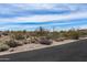Desert landscape along a paved road, featuring native plants and open skies at 8395 E Leaning Rock Rd # 187, Scottsdale, AZ 85266