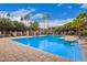 Sparkling community swimming pool surrounded by lush landscaping and lounge chairs at 10030 W Indian School Rd # 226, Phoenix, AZ 85037