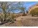 Desert landscaping in backyard with steps and a pathway leading to the house at 11686 N Spotted Horse Way, Fountain Hills, AZ 85268