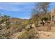 Landscaped backyard with desert plants, bushes, and a wrought iron fence in the background at 11686 N Spotted Horse Way, Fountain Hills, AZ 85268