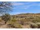 Picturesque view of the desert landscape and distant hills from the backyard of the property at 11686 N Spotted Horse Way, Fountain Hills, AZ 85268