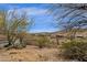 Desert landscaping with a fenced in yard, trees, and a mountain view beyond the fence at 11686 N Spotted Horse Way, Fountain Hills, AZ 85268