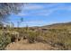 Desert landscaping in backyard with a wrought iron fence and view of distant houses and cactus at 11686 N Spotted Horse Way, Fountain Hills, AZ 85268