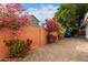 Blooming bougainvillea along a gravel backyard fence with mature landscaping at 1356 E Desert Flower Ln, Phoenix, AZ 85048