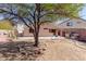 Expansive backyard featuring a mature tree and outdoor kitchen, ideal for relaxation and social gatherings at 1422 S 231St Ln, Buckeye, AZ 85326