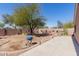 Large backyard with mature tree, brick border and new cement patio at 1422 S 231St Ln, Buckeye, AZ 85326