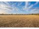 Expansive community field with playground and homes in the distance, under a blue and cloudy sky at 1473 E Mead Dr, Chandler, AZ 85249