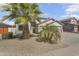 Inviting single-story home with desert landscaping, gravel, and a palm tree in the front yard at 2592 E Torrey Pines Ln, Chandler, AZ 85249