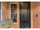 Elegant front door with decorative ironwork and a window with potted plant at 3322 E Lantana Pl, Chandler, AZ 85286