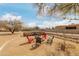 Spacious backyard featuring a cozy fire pit area with seating and a fenced enclosure, perfect for outdoor gatherings at 35207 N Central Ave, Phoenix, AZ 85086