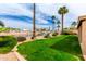 Sprawling backyard features lush green grass, tall palm trees, and manicured landscaping at 7118 E Juanita Ave, Mesa, AZ 85209