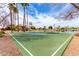 Outdoor basketball court bordered by palm trees and lush foliage under a partly cloudy sky at 7118 E Juanita Ave, Mesa, AZ 85209