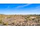 Desert landscape featuring a sprawling community with native trees and cacti on a bright, sunny day at 8115 E Paint Pony Dr, Carefree, AZ 85377