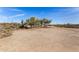 Property featuring native trees, natural desert landscape, and stunning mountain views at 8115 E Paint Pony Dr, Carefree, AZ 85377