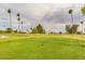 Expansive golf course view with lush green fairways, mature palm trees, and rolling hills under a cloudy sky at 10103 W Saddle Ridge Dr, Sun City, AZ 85373