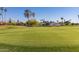 Scenic view of a lush green golf course with mature trees, cacti, and single-story homes in the distance at 10103 W Saddle Ridge Dr, Sun City, AZ 85373