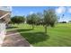 Manicured backyard featuring mature trees and lush green grass with a brick walkway at 10404 W Tropicana S Cir, Sun City, AZ 85351