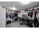 Spacious walk-in closet with ample hanging and storage space, plus carpeted floor at 14258 W Lisbon Ln, Surprise, AZ 85379