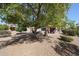 Backyard with desert landscaping, mature trees, and a covered patio at 15561 W Vista Grande Ln, Surprise, AZ 85374