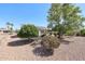 Well-maintained backyard with desert landscaping and mature trees at 15561 W Vista Grande Ln, Surprise, AZ 85374