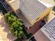 Aerial view of backyard featuring an outdoor patio and green trees at 335 S Travis --, Mesa, AZ 85208