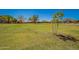 Expansive green lawn, bordered by mature trees and homes, offers a serene setting for outdoor activities at 346 E Red Mesa Trl, San Tan Valley, AZ 85143