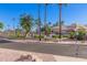 Community pool surrounded by palm trees and greenery in a gated community, perfect for relaxation and recreation at 3690 N 150Th Ave, Goodyear, AZ 85395