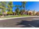 Front view of a community building with lush green grass, palm trees, and mature trees at 3690 N 150Th Ave, Goodyear, AZ 85395