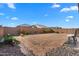 Expansive backyard with desert landscaping, offering versatile space for recreation and relaxation under a sunny sky at 393 S Soledad Ln, Casa Grande, AZ 85194