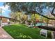 Spacious backyard with lush green lawn, mature trees, pool access, and ample space for outdoor activities at 4010 E Montebello Ave, Phoenix, AZ 85018