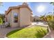 Well maintained backyard with green grass, refreshing pool, and beautiful palm tree at 4614 W Fallen Leaf Ln, Glendale, AZ 85310