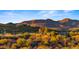 Stunning mountain views of homes among desert landscaping at 5480 E Desert Creek Ln, Cave Creek, AZ 85331