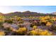 Beautiful home in a desert setting with mountain views and desert landscaping at 5480 E Desert Creek Ln, Cave Creek, AZ 85331