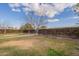 This backyard offers a private space with a mature hedge and trees at 660 E 1St Ave, Mesa, AZ 85204
