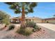 Inviting single-story home with well-maintained desert landscaping featuring various cacti and plants at 11067 W White Mountain Rd, Sun City, AZ 85351