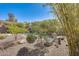 Lush backyard with gravel, stone decor, green grass, bamboo, and stepping stones in serene setting at 11229 E Emelita Ave, Mesa, AZ 85208