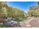 Manicured backyard with artificial turf, stepping stones, rock features, and bamboo for privacy at 11229 E Emelita Ave, Mesa, AZ 85208