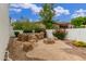 Private backyard showcasing a unique rock feature with lush landscaping and a peaceful atmosphere at 1152 W Sunrise Pl, Chandler, AZ 85248