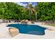 Lush pool with an outdoor grill, a built-in water fall, lush landscaping, and ample seating at 1152 W Sunrise Pl, Chandler, AZ 85248