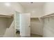 Walk-in closet with shelving, neutral walls, and carpeted floors at 17165 W Corrine Dr, Surprise, AZ 85388