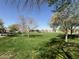 Spacious green space featuring manicured lawn and mature trees within the community at 2107 N 77Th Dr, Phoenix, AZ 85035