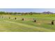 Golf driving range with individual stations and mountain views for a relaxing practice session at 26716 W Ponderosa Ln, Buckeye, AZ 85396