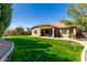 Expansive backyard showcases a well-manicured lawn, desert landscaping and covered patio at 3431 E Canary Ct, Chandler, AZ 85286