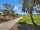 Scenic community walking path, surrounded by mature trees and lush green grass at 9477 W Tonopah Dr, Peoria, AZ 85382