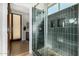 Modern shower with glass door and tiled walls, leading into the bathroom at 11343 E Appaloosa Pl, Scottsdale, AZ 85259